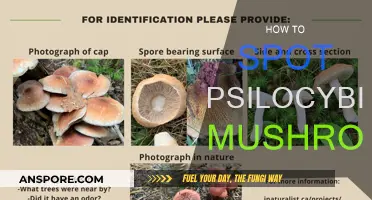 Finding Magic Mushrooms: Identifying Psilocybin in Nature