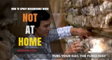 Smart Mushroom Care: Automated Spraying Solutions for Busy Growers