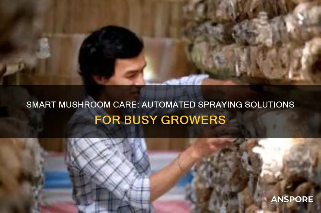 how to spray mushrooms when not at home