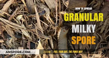 Effective Techniques for Applying Granular Milky Spore in Your Lawn