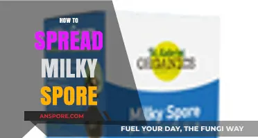 Effective Milky Spore Application: A Guide to Lawn Grub Control