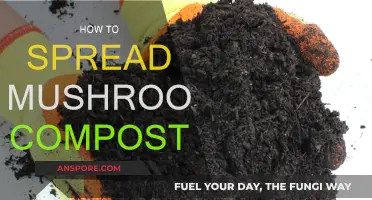 Mushroom Compost: Spreading and Gardening Benefits