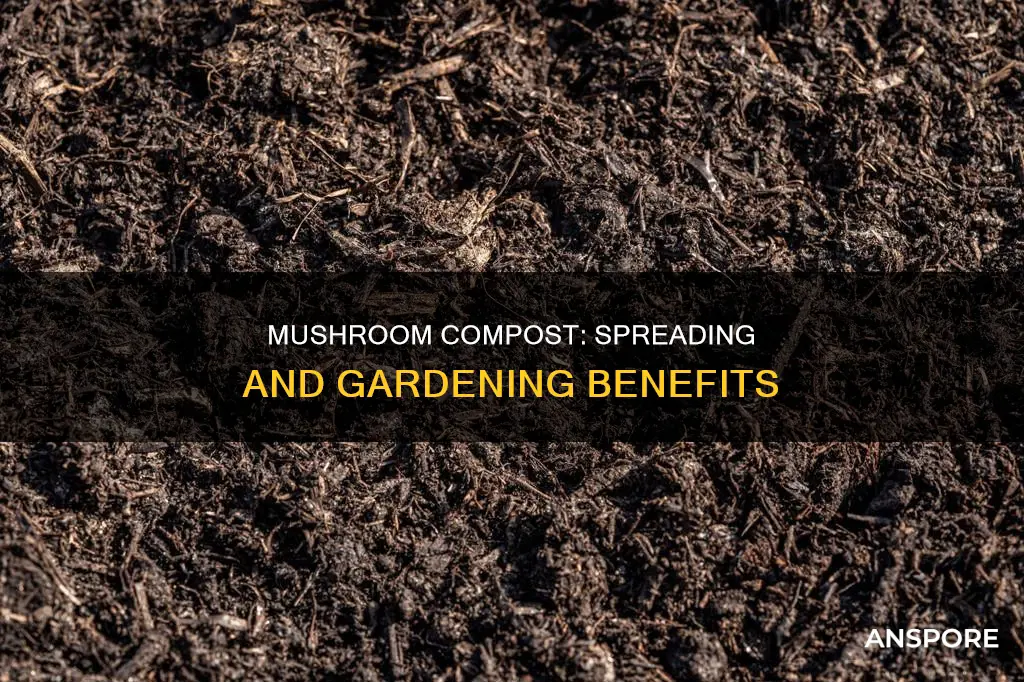 how to spread mushroom compost