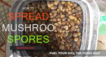 Spreading Mushroom Spores: A Guide to Successful Cultivation
