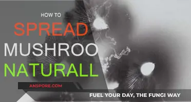 Mushroom Propagation: Natural Ways to Spread Spores
