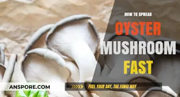 Quickly Expand Your Oyster Mushroom Harvest: Proven Techniques for Rapid Growth