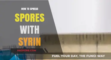 Mastering Syringe Techniques: Effective Methods for Spreading Spores Safely