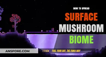 Mastering Mushroom Biomes: Techniques to Expand Surface Fungal Colonies