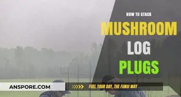 Mastering Mushroom Log Plugs: A Step-by-Step Stacking Guide