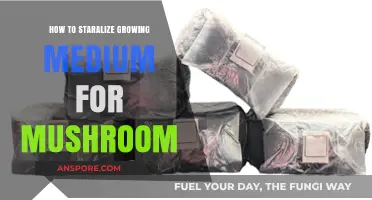 Mastering Mushroom Cultivation: Sterilizing Growing Medium for Optimal Growth
