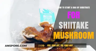 Growing Shiitake Mushrooms: A Beginner's Guide to Starting Substrate Bags