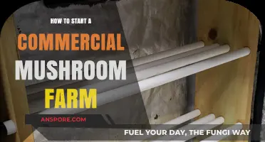 Launching a Profitable Mushroom Farm: A Beginner's Step-by-Step Guide