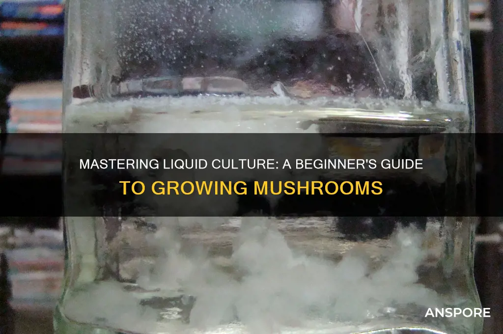 how to start a liquid culture mushrooms