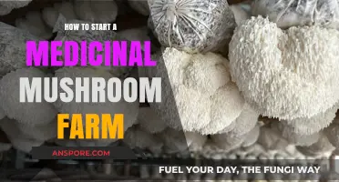 Cultivating Health: A Beginner's Guide to Medicinal Mushroom Farming