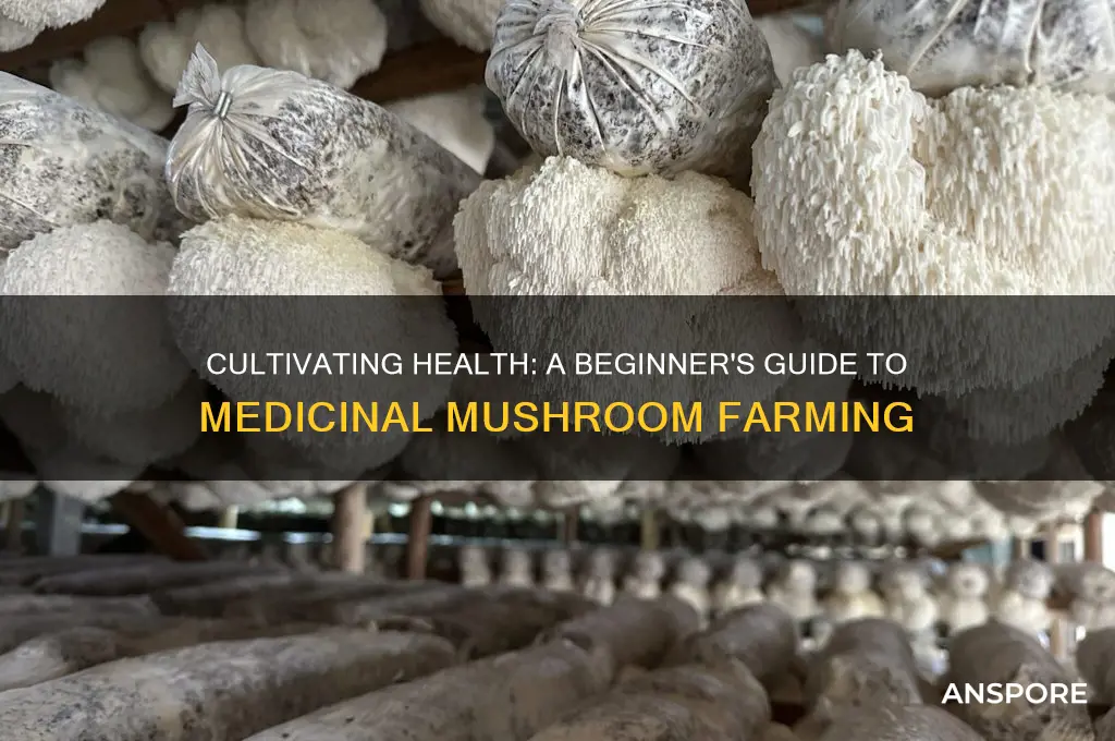 how to start a medicinal mushroom farm
