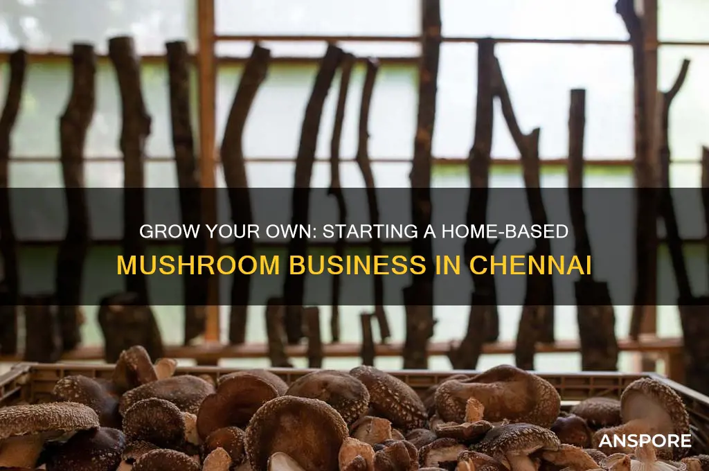 how to start a mushroom business at home in chennai