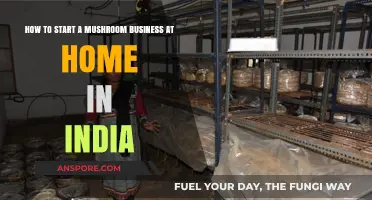 Start Your Own Mushroom Farming Business at Home in India
