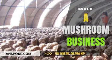 Grow Your Profits: A Beginner's Guide to Starting a Mushroom Business