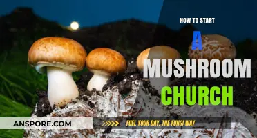 Cultivating Community: A Guide to Starting Your Mushroom Church