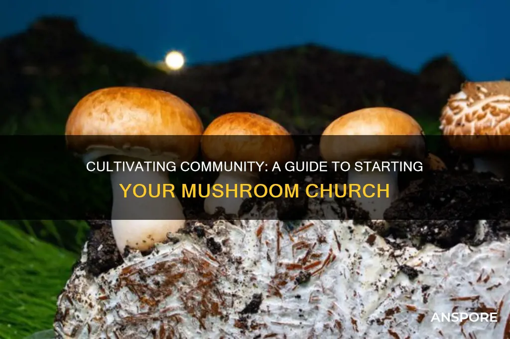 how to start a mushroom church