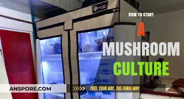 Mastering Mushroom Cultivation: A Beginner's Guide to Starting Your Culture