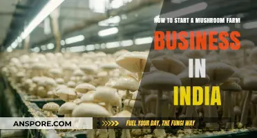 Starting a Profitable Mushroom Farm Business in India: A Beginner's Guide