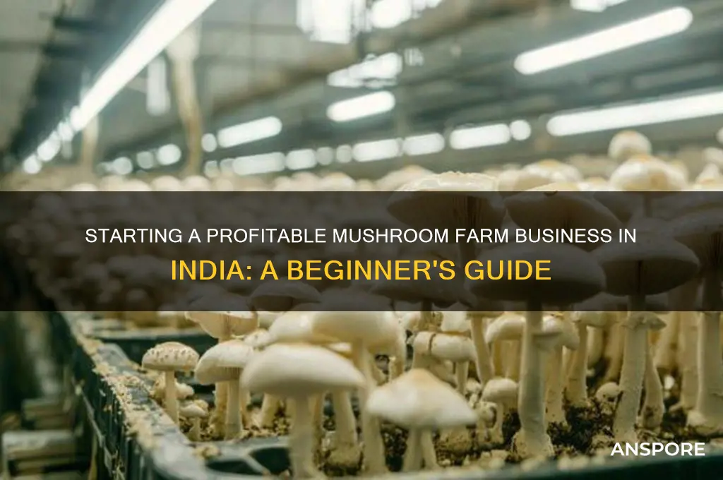 how to start a mushroom farm business in india
