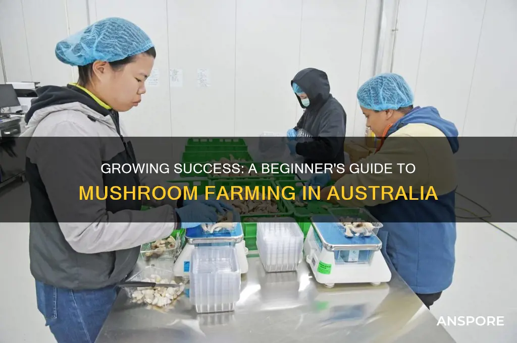 how to start a mushroom farm in australia