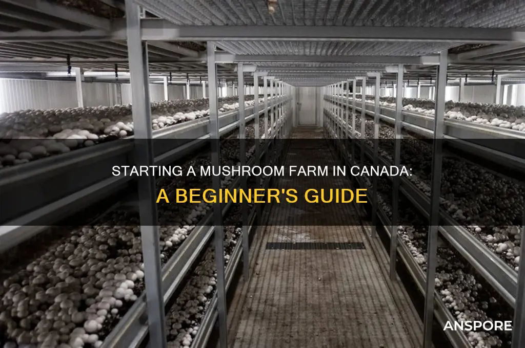how to start a mushroom farm in canada