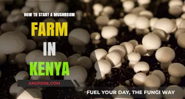 Start Your Own Mushroom Farm in Kenya: A Beginner's Guide