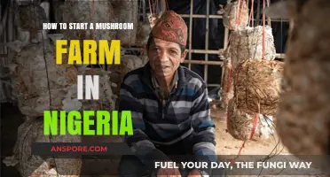 Starting a Profitable Mushroom Farm in Nigeria: A Beginner's Guide