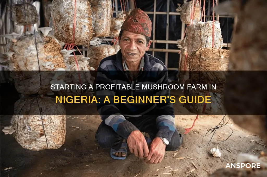 how to start a mushroom farm in nigeria