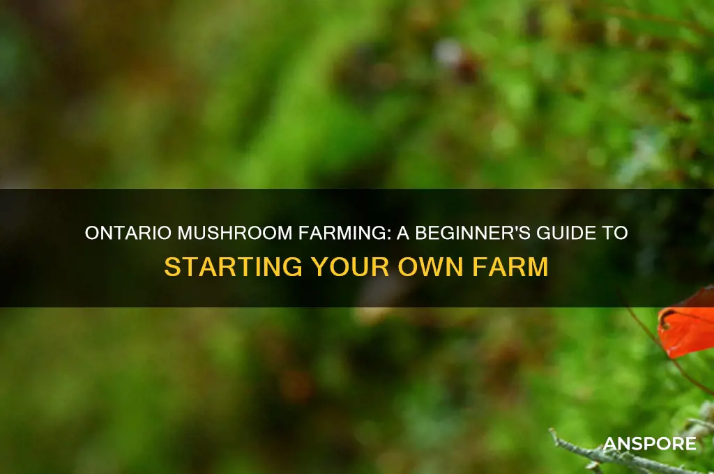 how to start a mushroom farm in ontario