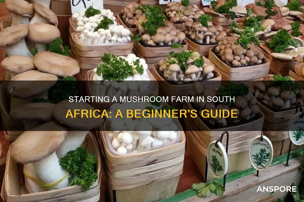 how to start a mushroom farm in south africa