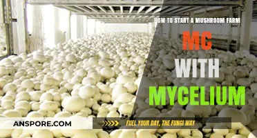 Mycelium Mastery: Launching Your Mushroom Farm MC Step-by-Step Guide