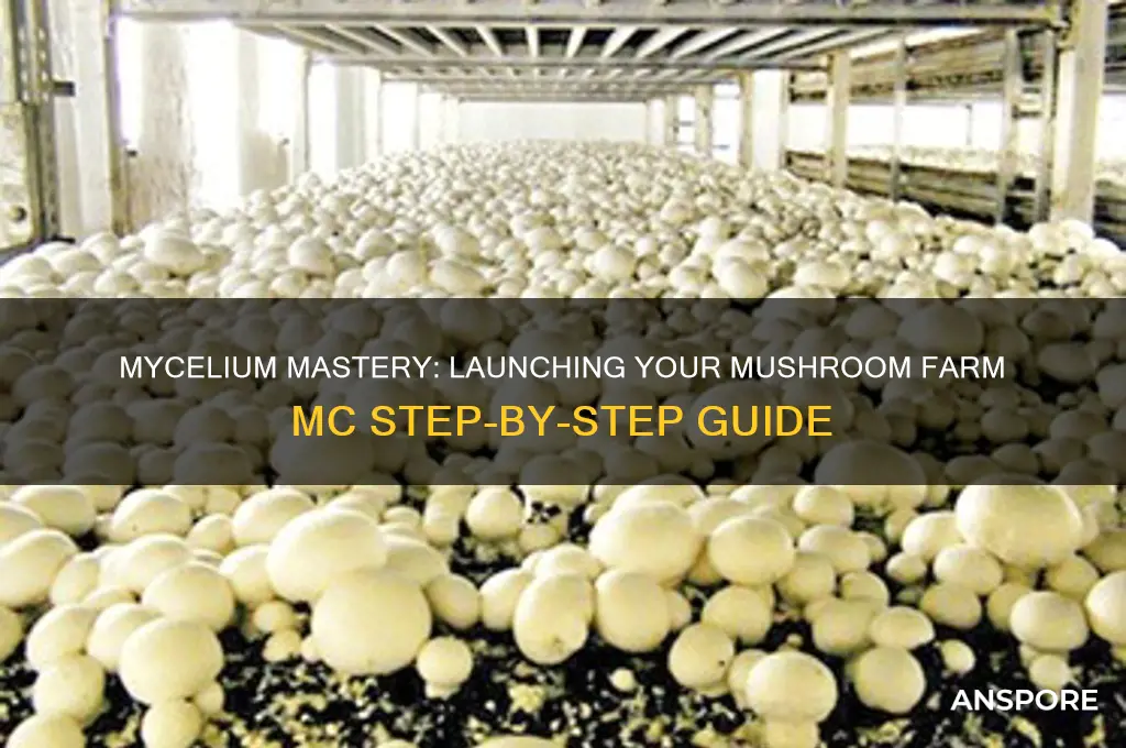 how to start a mushroom farm mc with mycelium