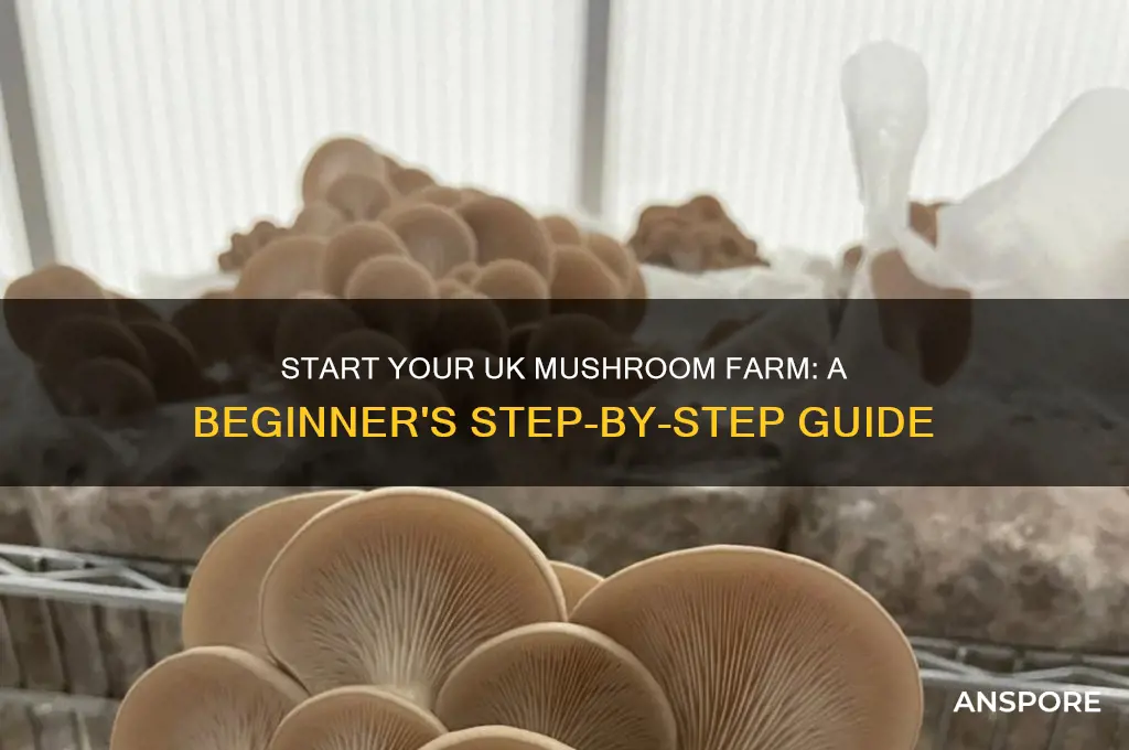 how to start a mushroom farm uk