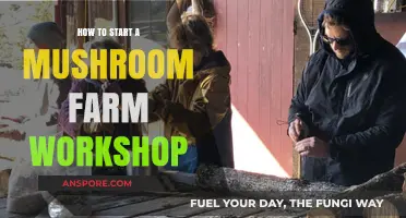 Launch Your Mushroom Farm: Essential Workshop Guide for Beginners