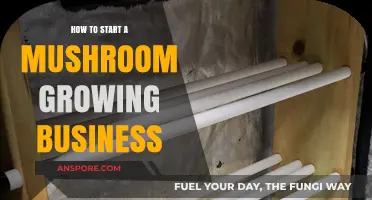 Launch Your Profitable Mushroom Farm: A Beginner's Guide to Success