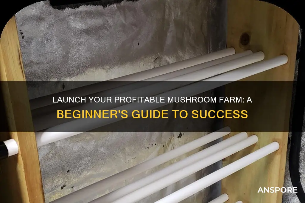 how to start a mushroom growing business
