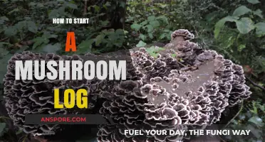 Grow Your Own Mushrooms: A Beginner’s Guide to Starting a Mushroom Log