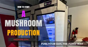 Mastering Mushroom Cultivation: A Beginner's Guide to Starting Production