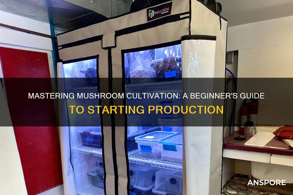 how to start a mushroom production