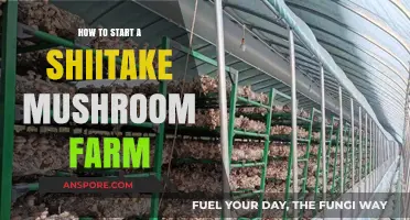 Grow Your Own Shiitake: A Beginner's Guide to Mushroom Farming