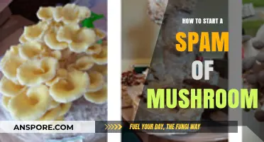 Mastering Mushroom Cultivation: A Beginner's Guide to Starting Your Own Crop