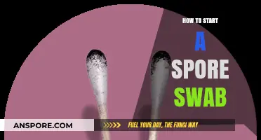 Mastering Spore Swab Techniques: A Beginner's Guide to Starting Right