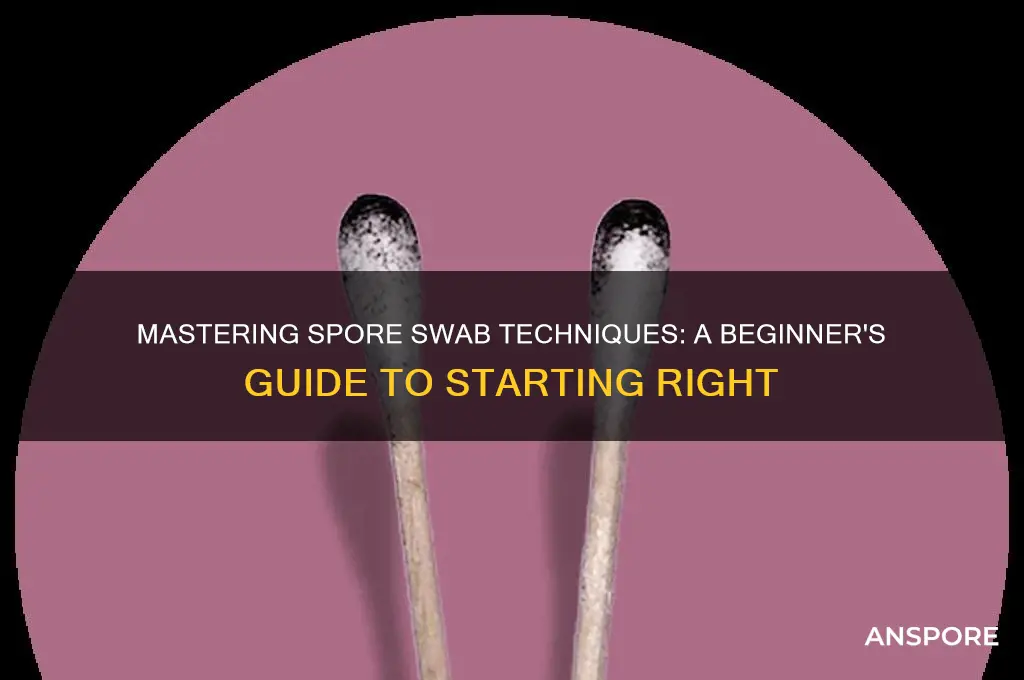 how to start a spore swab