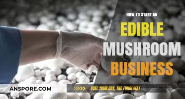Grow Your Profits: A Beginner's Guide to Starting an Edible Mushroom Business