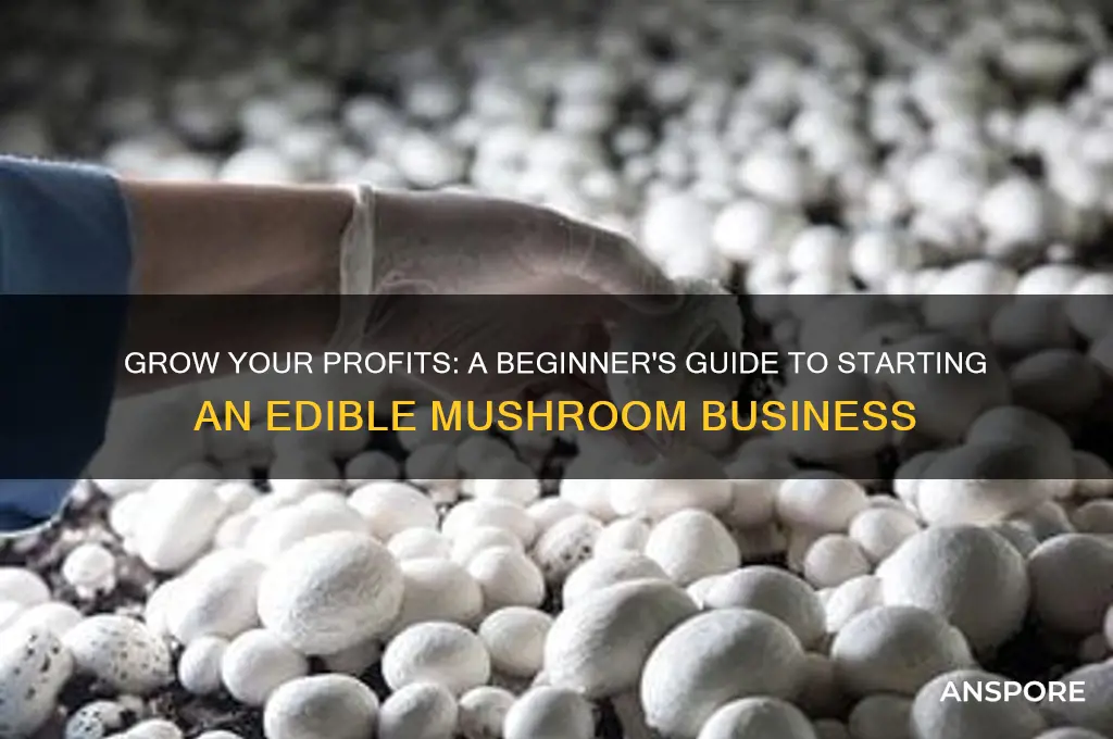 how to start an edible mushroom business