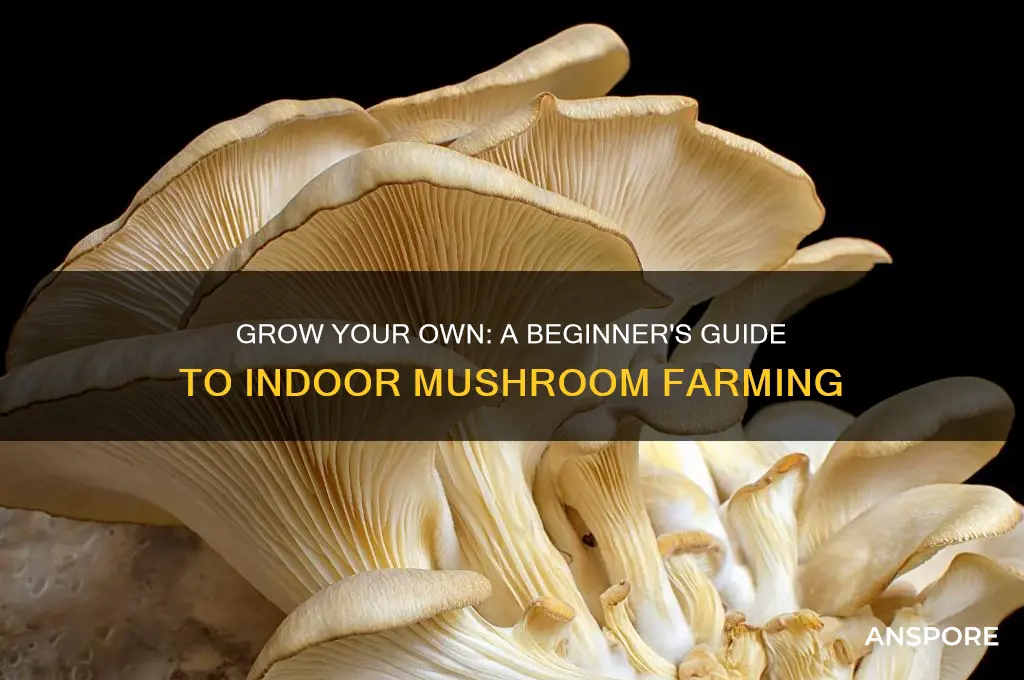 how to start an indoor mushroom farm